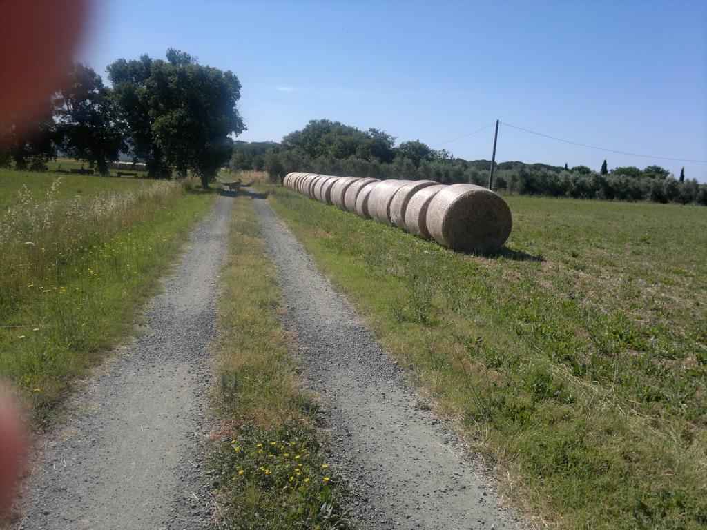 Agriturismo Il Selvello Le Versegge Buitenkant foto