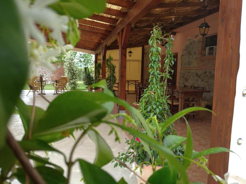 Agriturismo Il Selvello Le Versegge Buitenkant foto