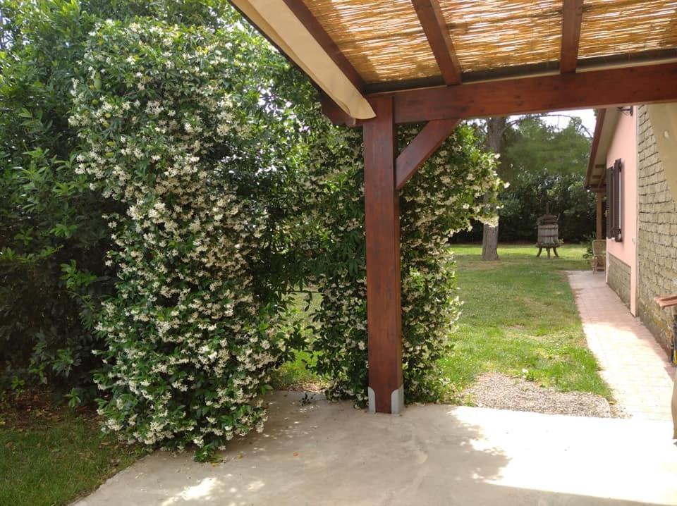 Agriturismo Il Selvello Le Versegge Buitenkant foto